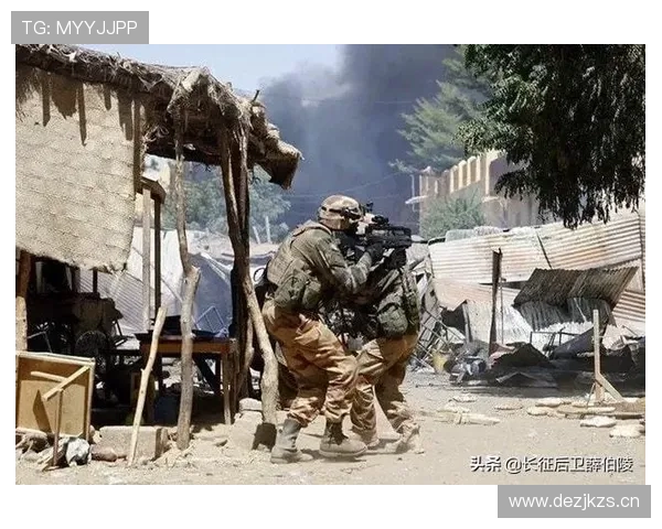 马里战术调整分析：在日益严峻的安全局势中寻求突破与应对策略